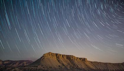 FB体育注册网址-格林伍德：袋鼠队防守核心，展现出超强球场控制力，格林伍德打什么位置