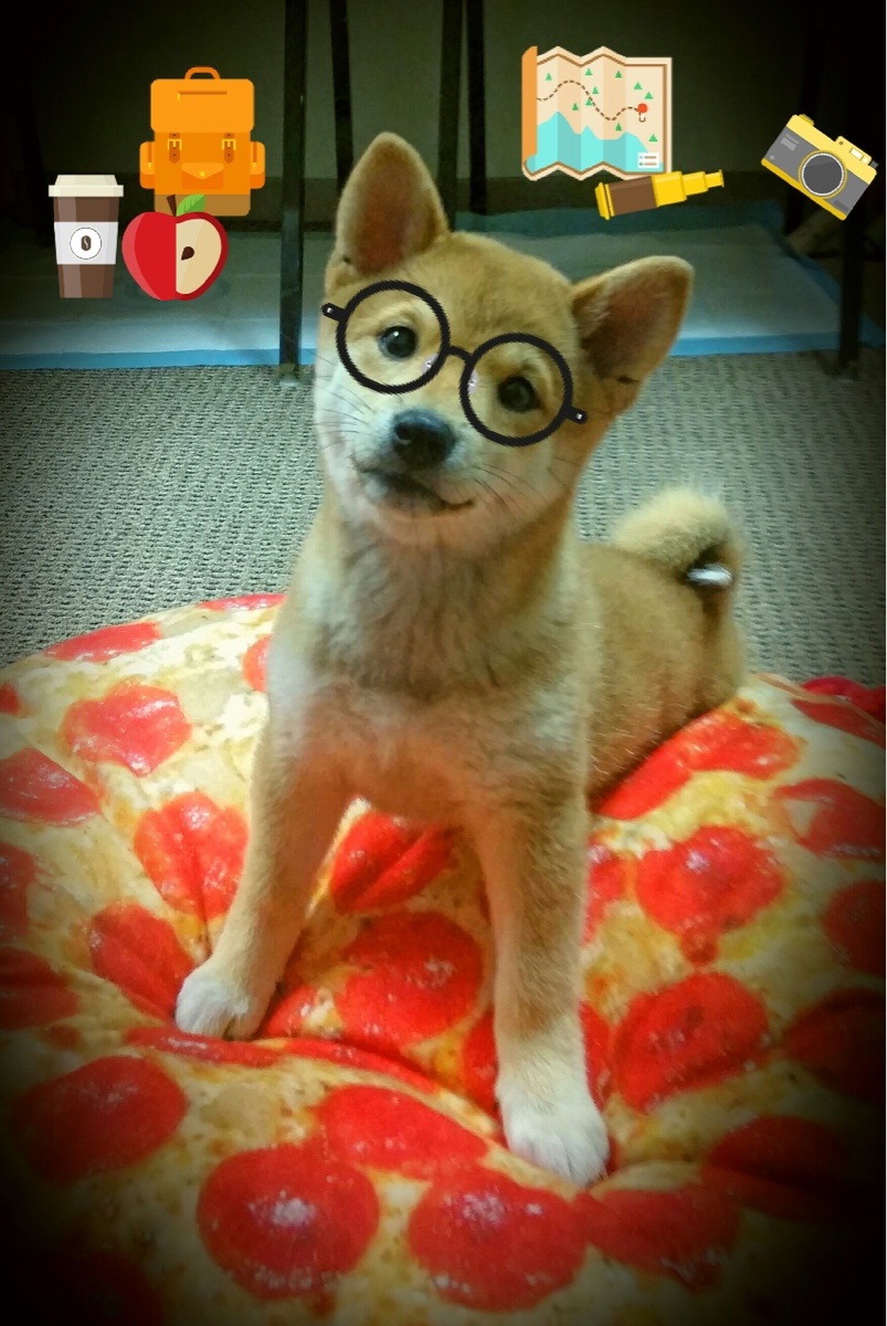 fb体育官网中国-生力啤酒人年轻阵容潜力巨大，生力啤酒是精酿吗