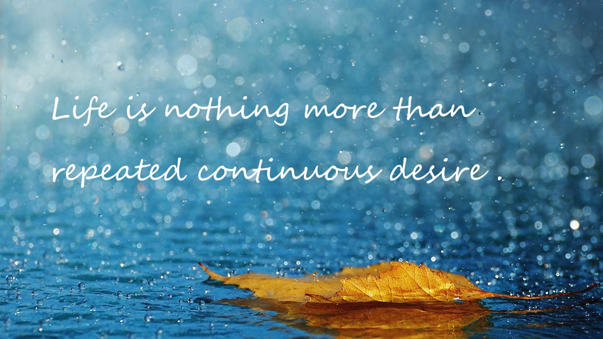 fb体育官网入口-西班牙人是否应尝试新教练策略，西班牙人主教练赛后采访