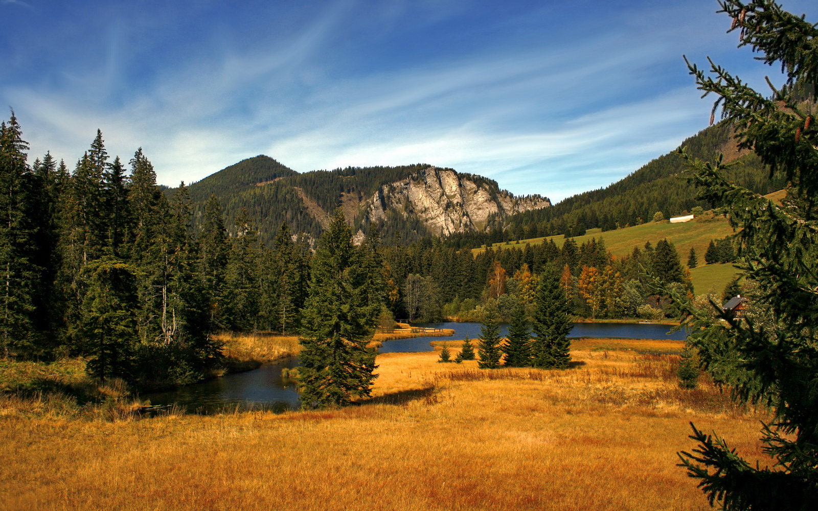 fb体育电竞-西班牙女足联赛决赛场上现独特风采，西班牙女足队员