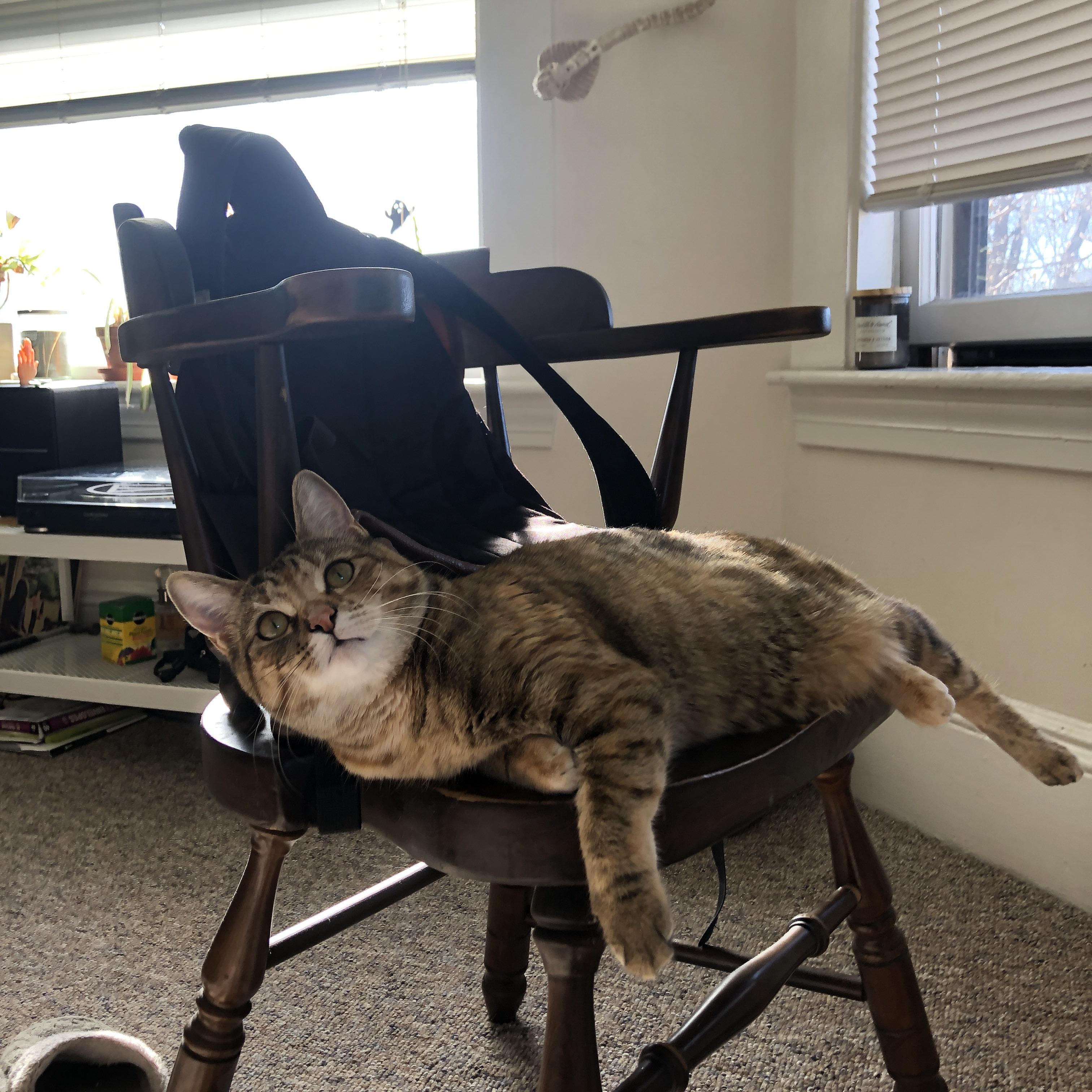 财务透明：五大联赛俱乐部财报公开分析，五大联赛上市俱乐部