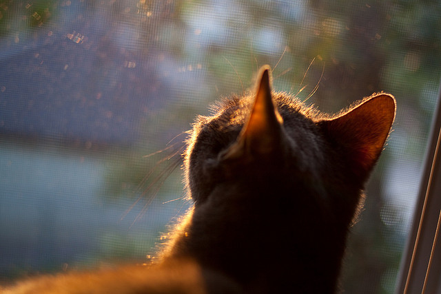 fb sports官网-CBA新赛季赛制改革加入复赛机制提升赛事观赏张力，cba复赛第一阶段结束