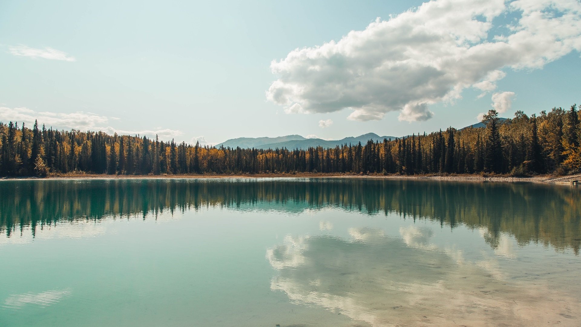 fb体育首页-“霍斯特：南非橄榄球的下一位传奇人物？”