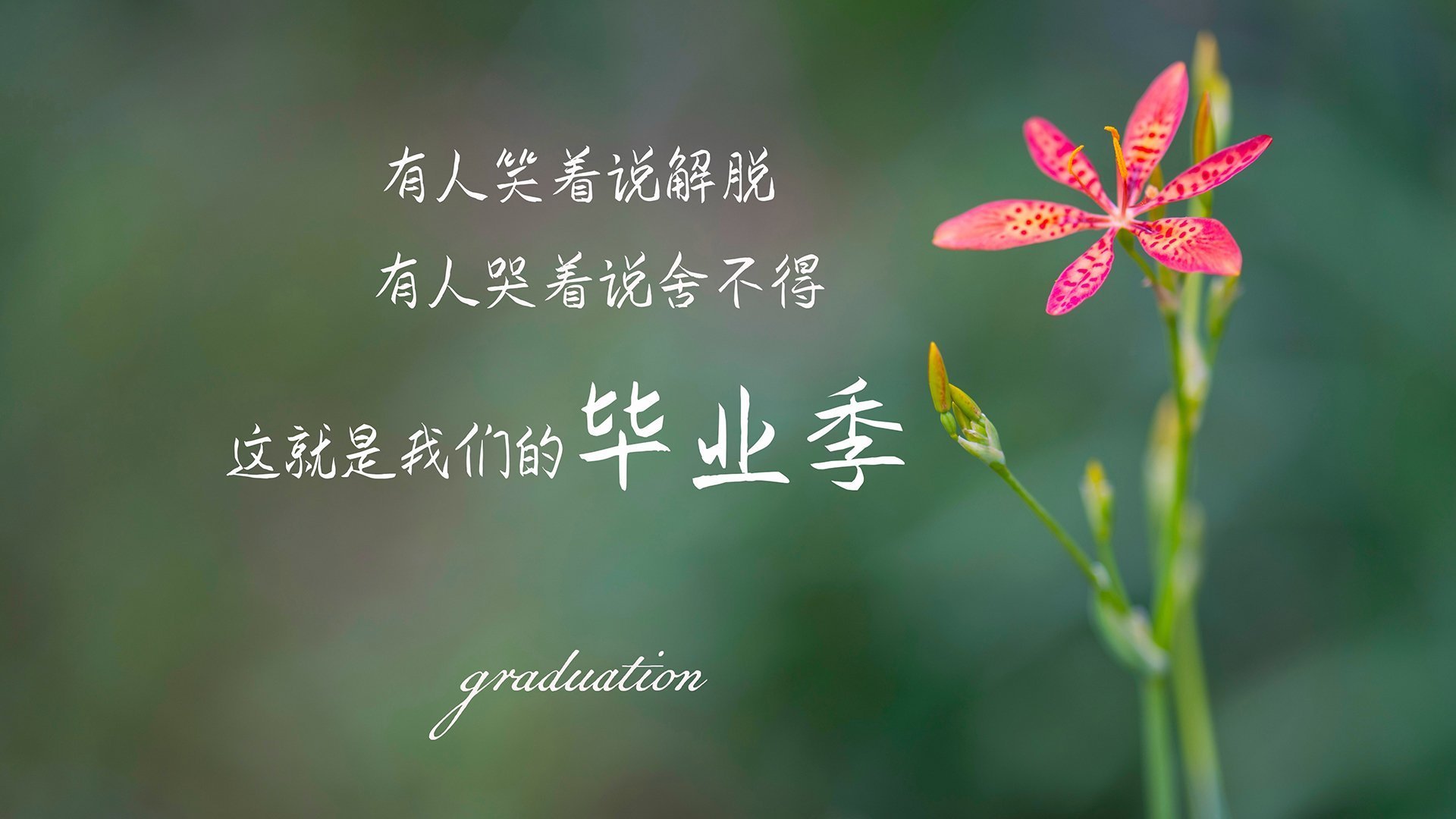 FB体育下载-体育场馆无障碍设施完善，体育场馆无障碍设施完善建议