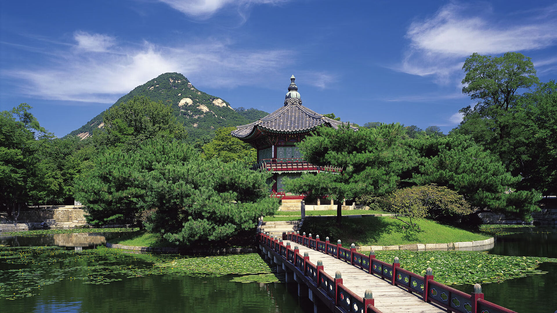 FB真人电子游戏-澳大利亚女篮在世界杯中折桂，连续两届夺冠，澳大利亚女篮世锦赛冠军