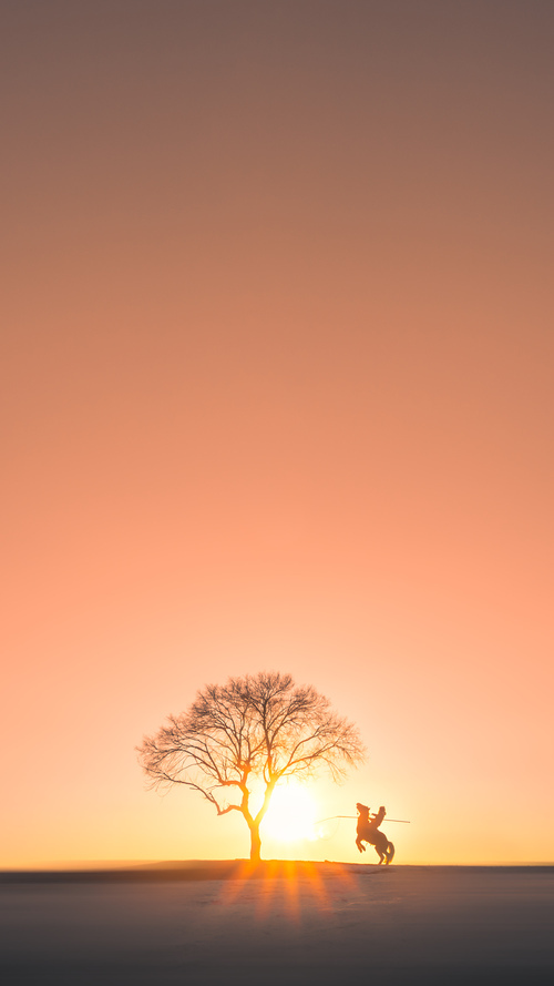 FB体育官方平台-美洲杯逆转战：悬念不断，精彩纷呈，美洲杯!